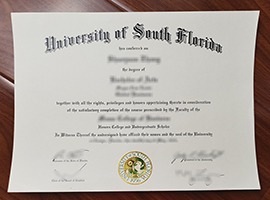 University of South Florida diploma