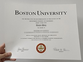 fake Boston University diploma