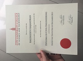 City University College of Science And Technology Diploma