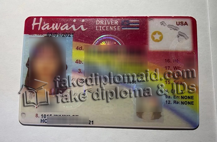 fake Hawaii driver's license