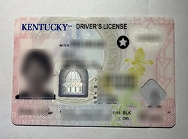 Read more about the article Can I get a fake Kentucky ID/Kentucky driver’s license online?
