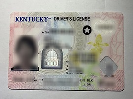 Kentucky driver's license