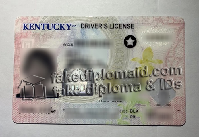 fake Kentucky ID