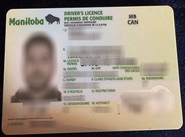 Manitoba driver's license