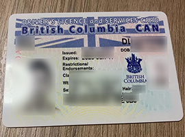 British Columbia driver's license