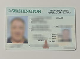 Washington driver's license