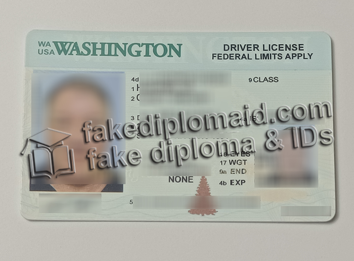 Washington driver's license