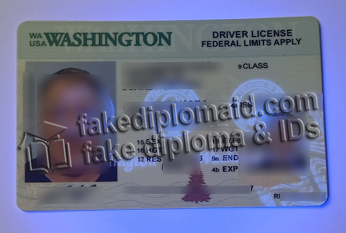 Washington driver's license