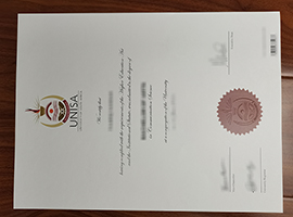 University of South Africa diploma