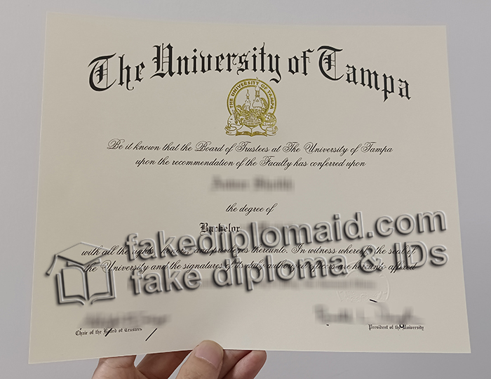 University of Tampa diploma