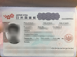 fake Japan VISA