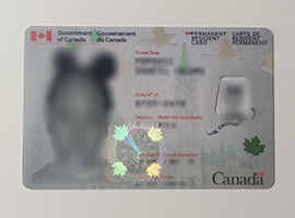 Read more about the article How to get a Canada permanent resident (PR) card online?