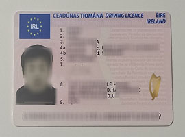 Read more about the article How much does it cost to buy a fake Irish driver’s license?