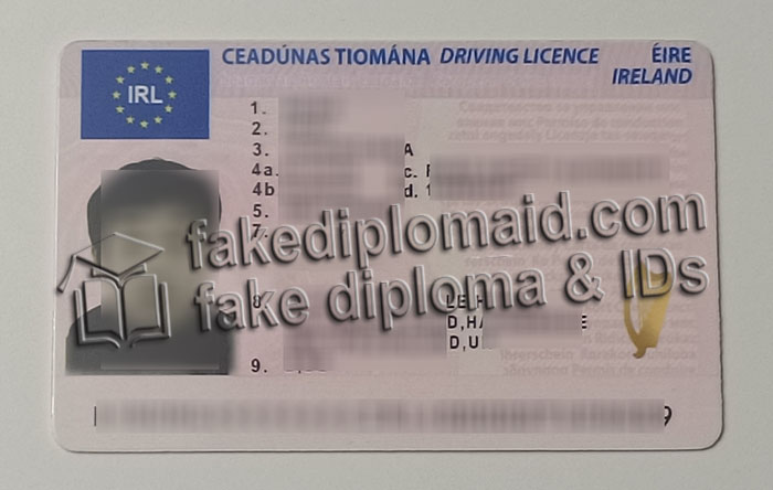 Irish driver's license