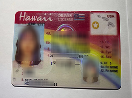 fake Delaware driver's license