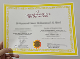 fake Near East University diploma