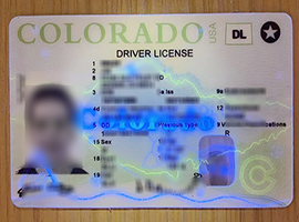 fake Colorado driver's license