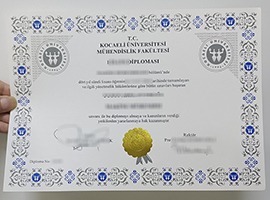 Kocaeli University diploma
