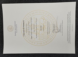 Lund University diploma