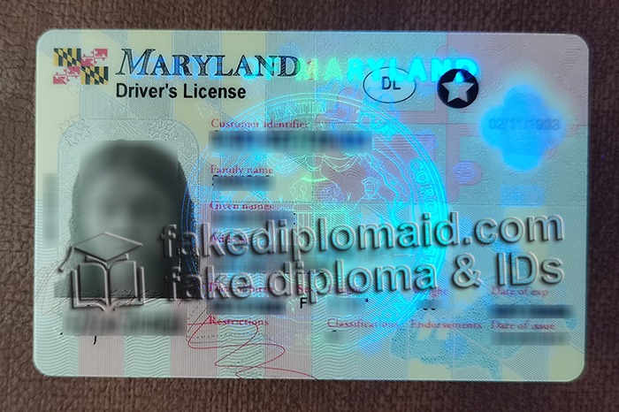 fake Maryland ID
