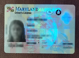 Read more about the article Buy Premium Fake Maryland ID Online, buy fake Maryland driver’s license online