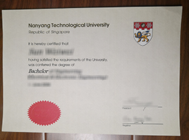 Nanyang Technological University diploma