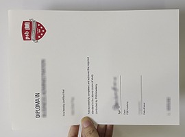 PSB Academy diploma