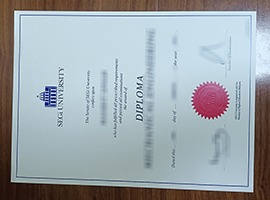 SEGi University diploma