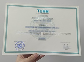 Hamburg University of Technology diploma