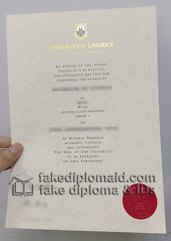 University of Limerick diploma