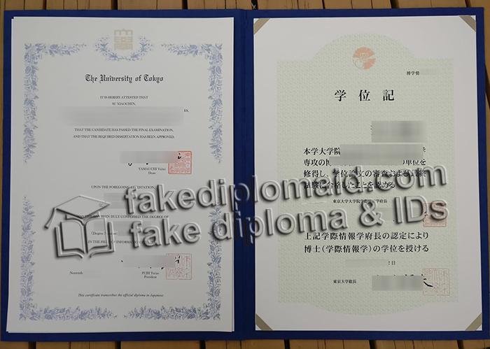 University of Tokyo diploma