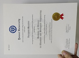 Yonsei University diploma