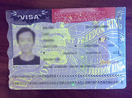 fake US VISA