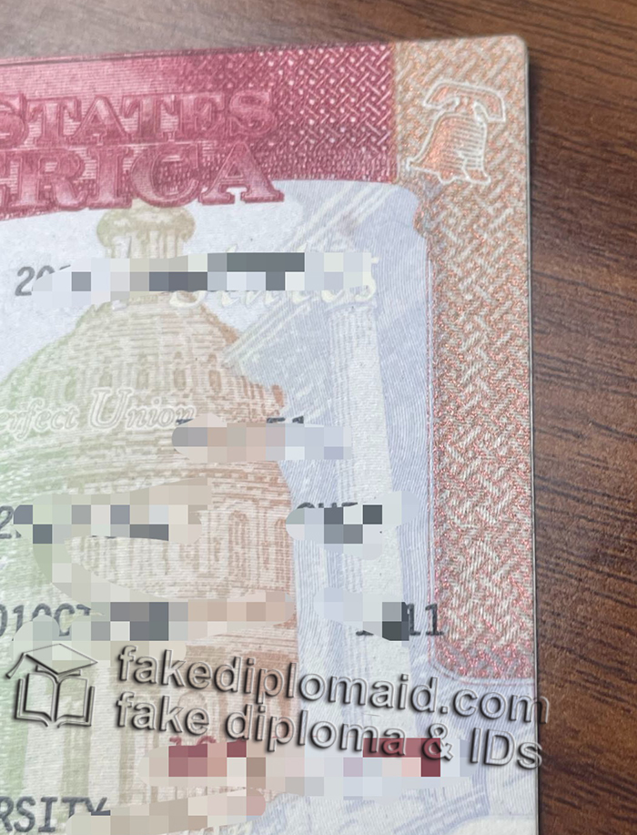 fake USA VISA