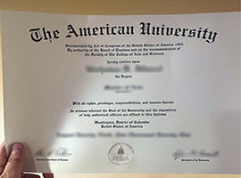 American University diploma