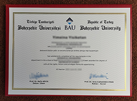 Read more about the article BAU diploma nereden alınır? Bahçeşehir University diploma sample