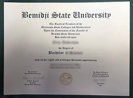 Read more about the article Bemidji State University diploma free sample, buy BSU diploma online