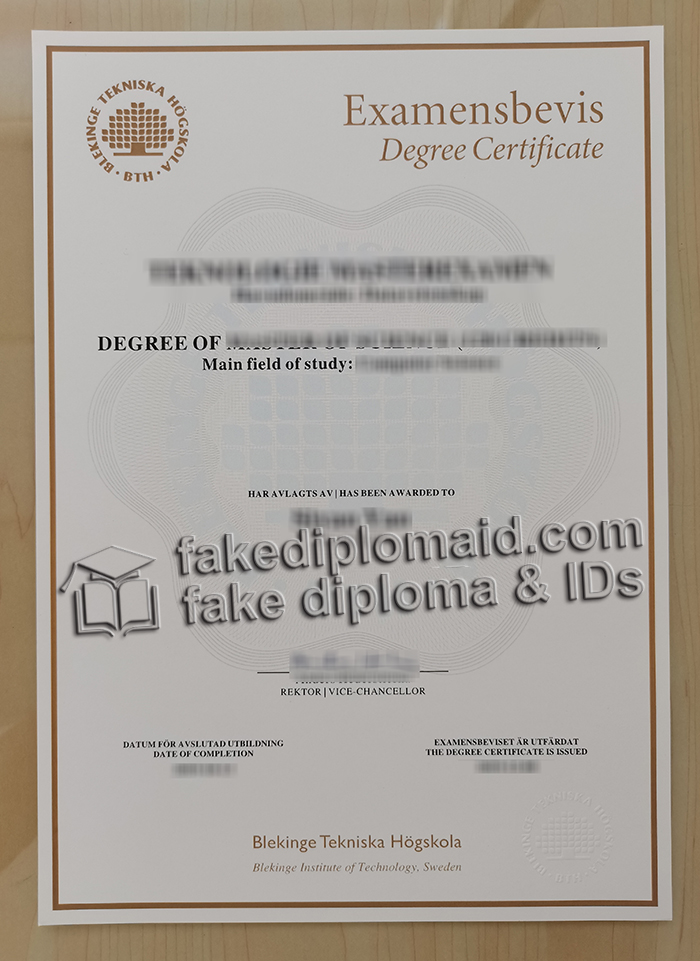 Blekinge Institute of Technology degree