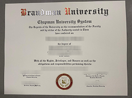 Read more about the article How to order a fake Brandman University diploma online from USA
