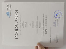 Frankfurt University of Applied Sciences diploma