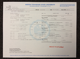 Middle Tennessee State University transcript