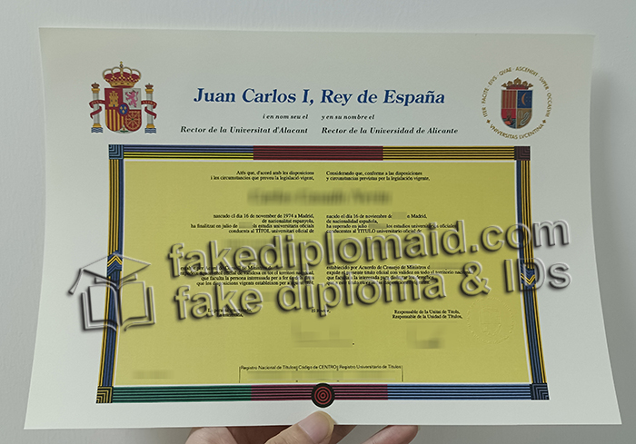 Universidad de Alicante diploma