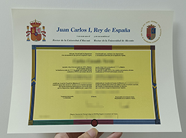 Universidad de Alicante diploma