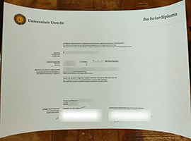 Universiteit Utrecht diploma