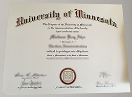 Read more about the article Where to buy a realistic University of Minnesota diploma? Buy fake UMN degree online