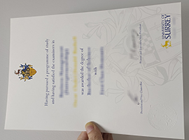 University of Surrey diploma