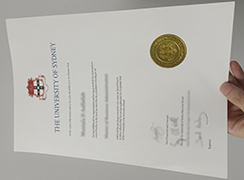 USYD diploma