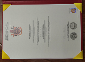 University of Wales diploma