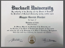 Read more about the article How do I get a fake Bucknell University diploma online?
