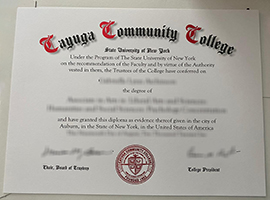 Read more about the article Buy fake Cayuga Community College diploma online, buy fake diploma